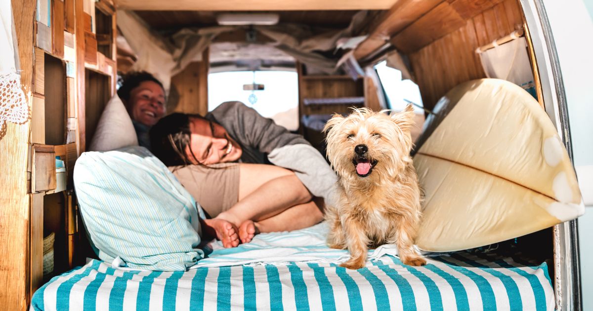 Best Summer Trips